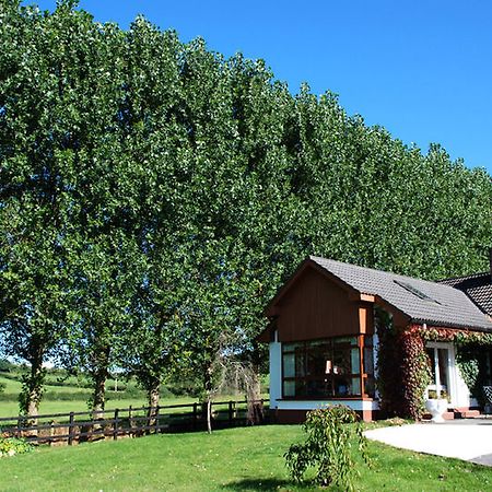 The Bungalow Farmhouse Clomantagh Exteriör bild